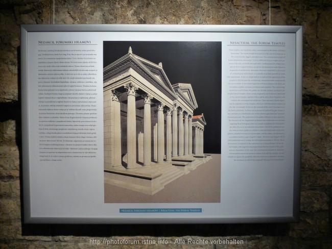P1070324.jpg