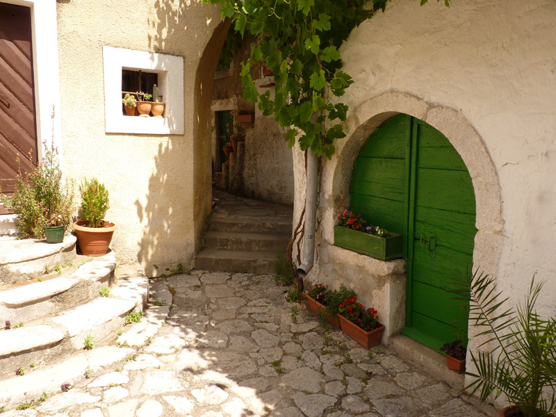 P1080335.jpg