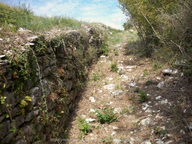 100_2492.jpg