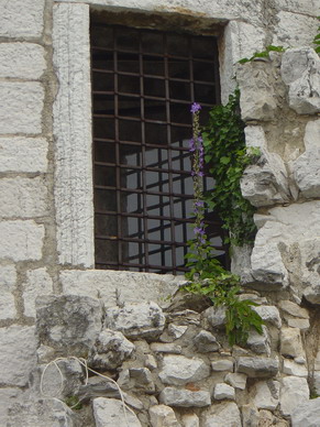 DSC01344_Grenvernderung.jpg