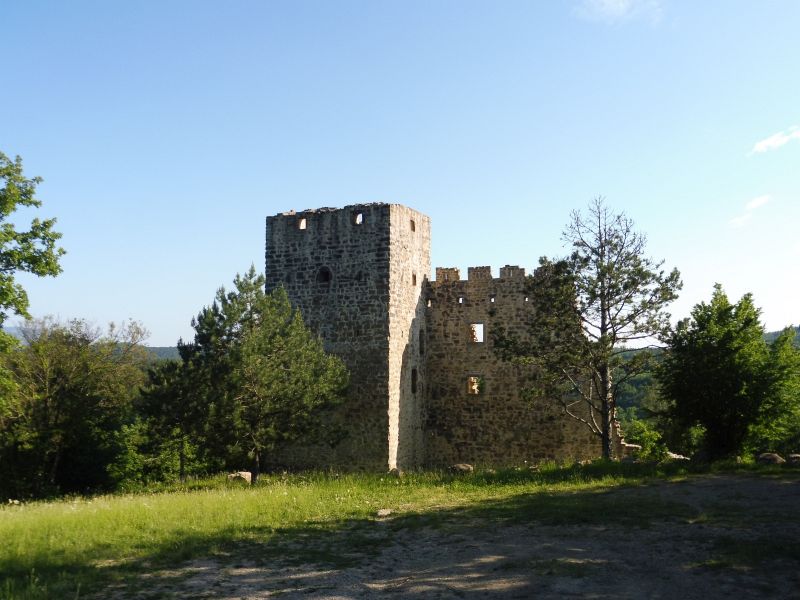 P1110874.jpg