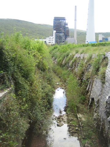 IMG_3543.jpg