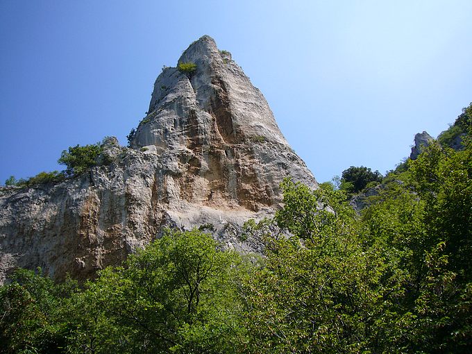 P1000182-1.jpg