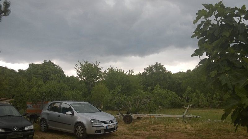 29505585wv.jpg