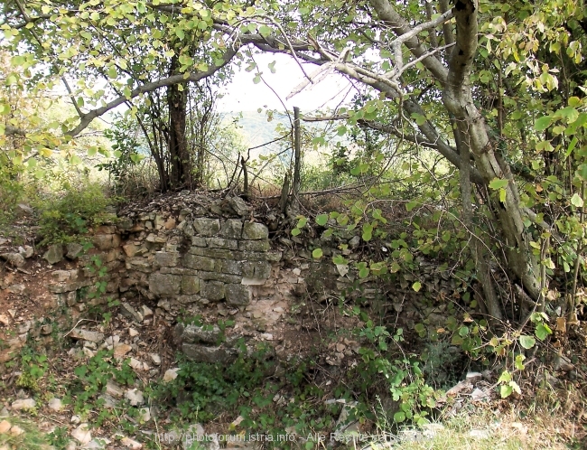 100_2447.jpg
