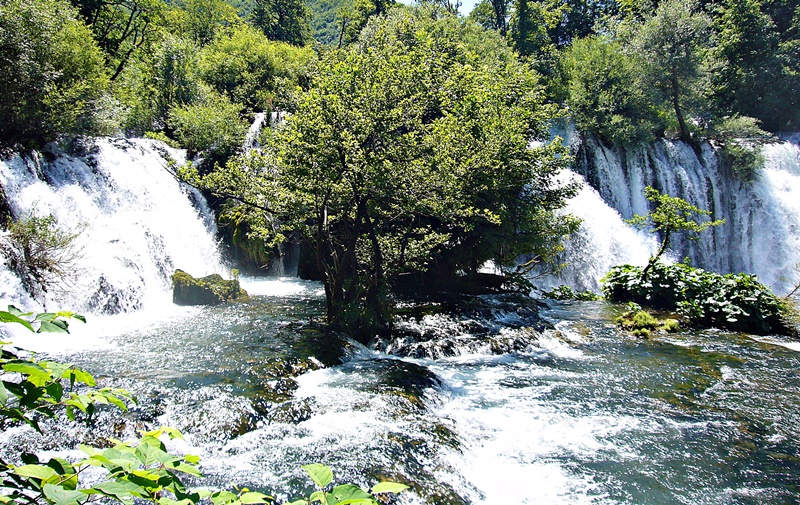 P1220925.jpg