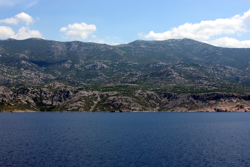 f11734833t529369p7826699n12.jpg
