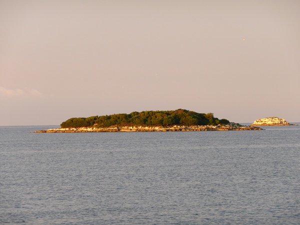 P1020571.JPG