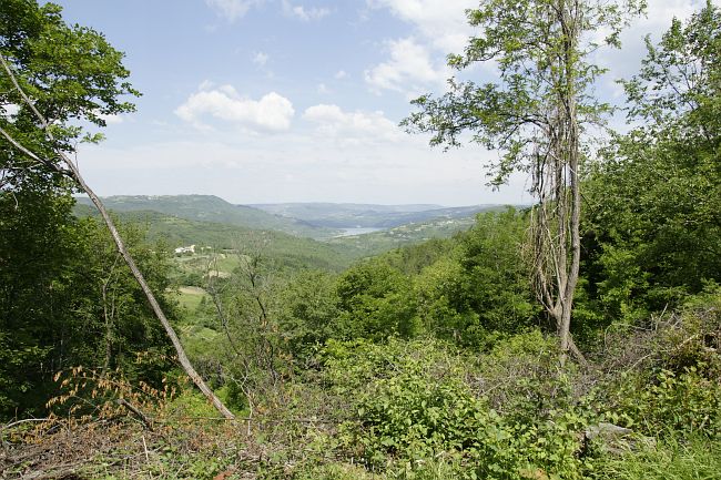 Liznjan_Mai_2012_090.jpg
