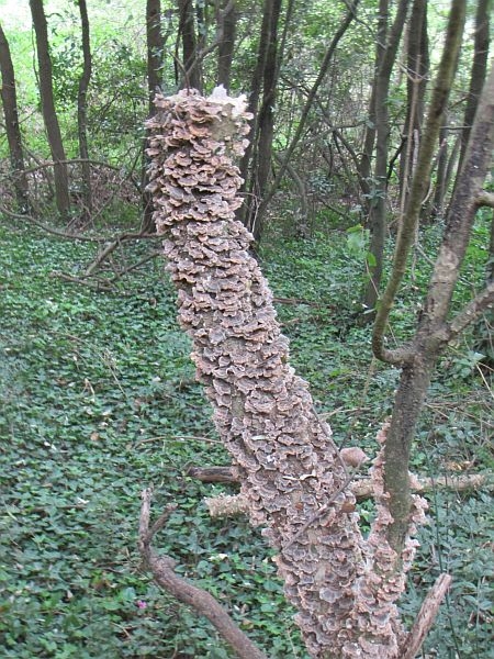 wanderung_budava_22.jpg
