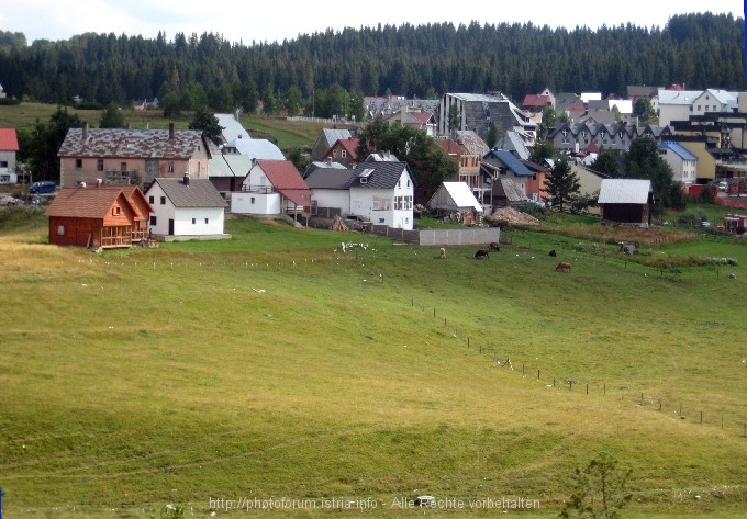 Berg_043_14r.jpg