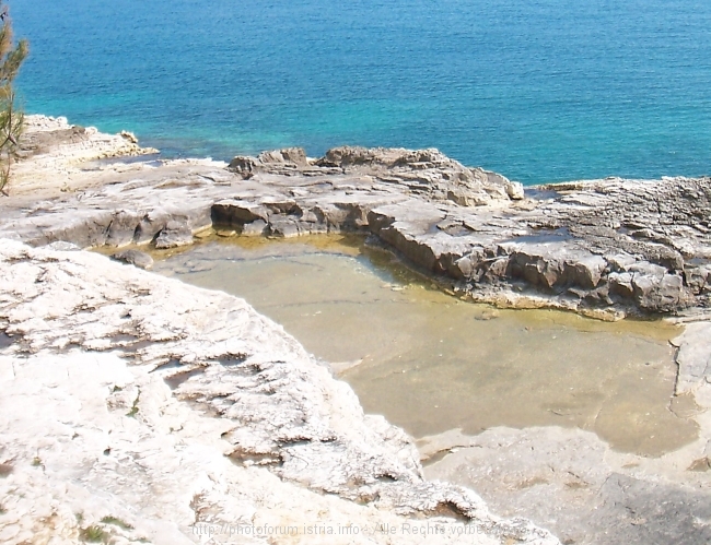 Lungo_027.jpg
