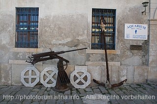 PIRAN_Aquarium_320IMG_7387.jpg