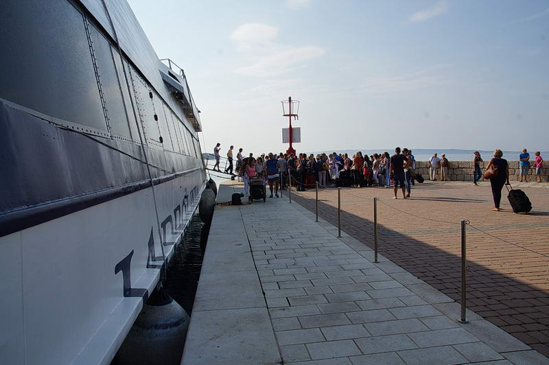 DSC05089-1.jpg