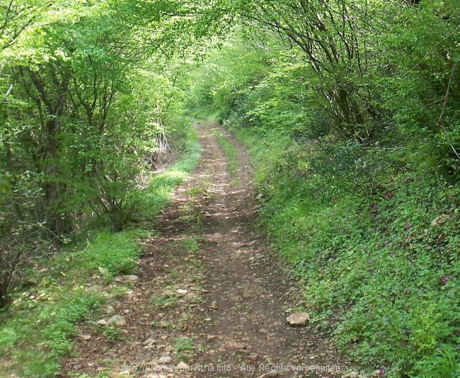 35_4215.JPG