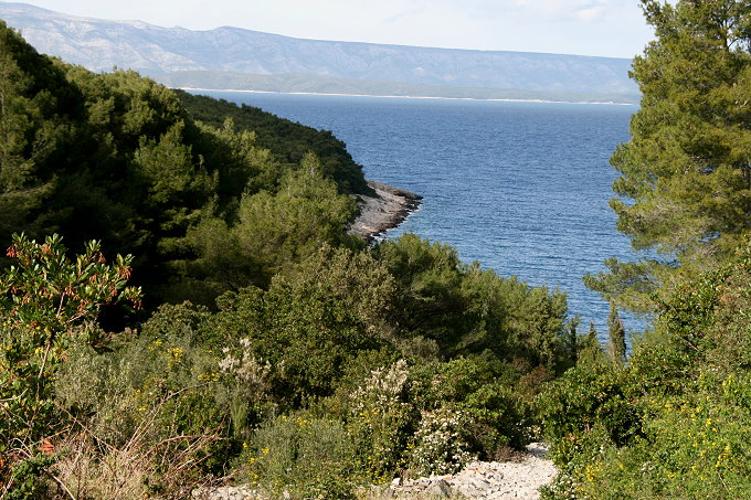28_mindel_3.tag_tankarica_049_680.jpg
