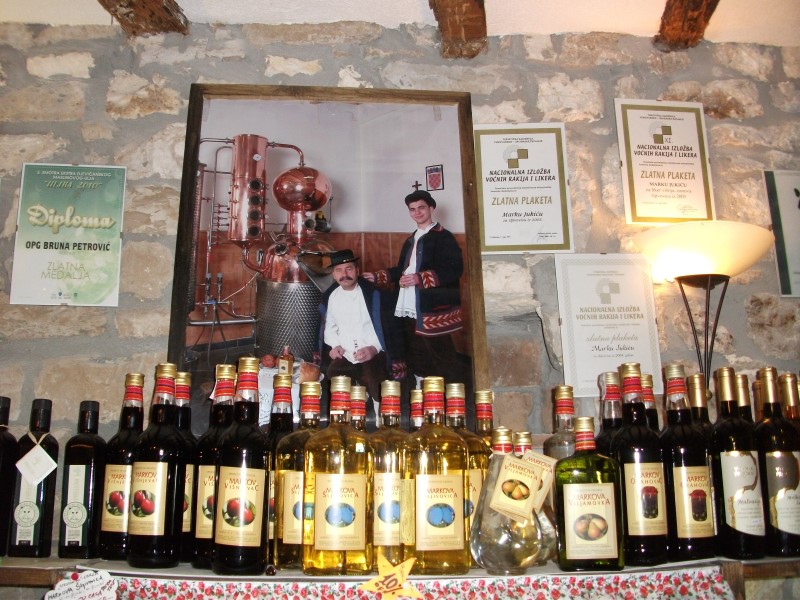 Porec_Istr_Platte_2012_023_Andere.jpg