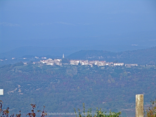 PICT8759-1.JPG
