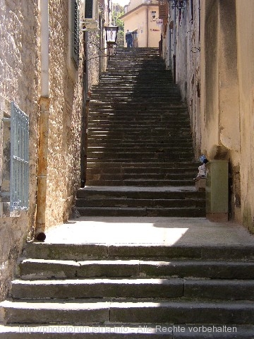P1010086.jpg