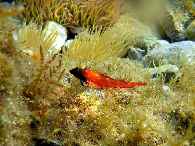 DSCN1467.JPG