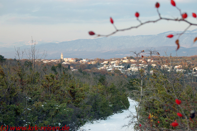 Polje_im_Schnee_3_web.jpg