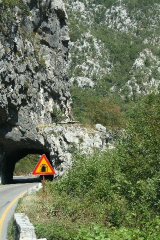 k_IMG_2958.jpg