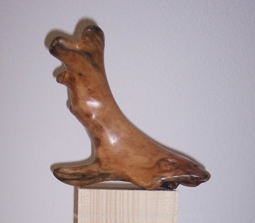 Kopie_von_Bild_013.jpg