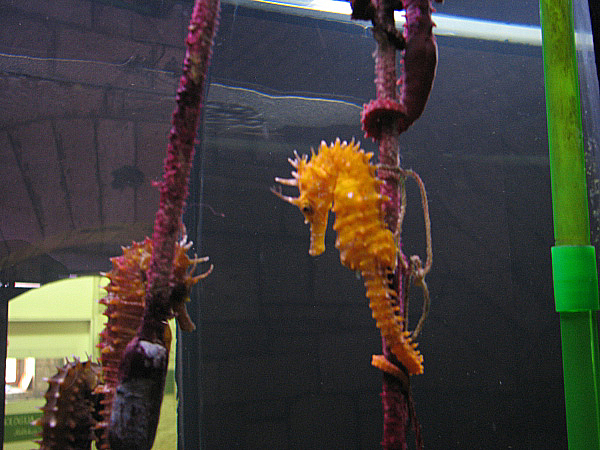 IMG_7246.jpg