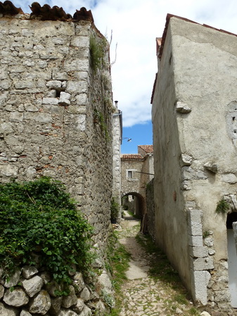 P1010276_Bildgre_ndern.jpg