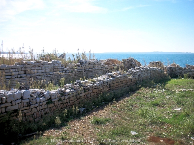 Barbariga_2591.jpg