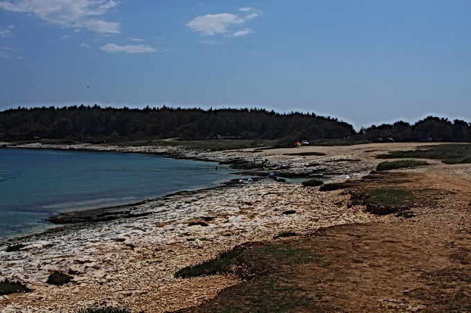 DSC00573-1.jpg