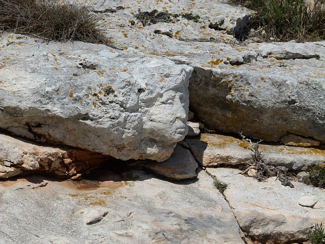 p1170990.jpg