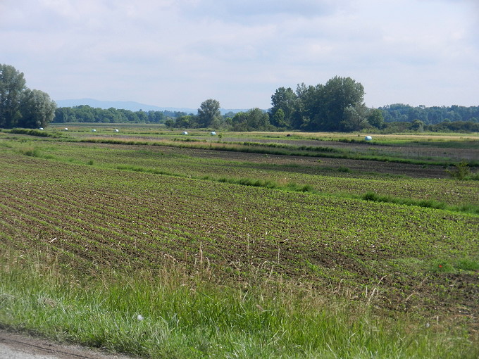 Lonjsko_Polje_4_680.jpg