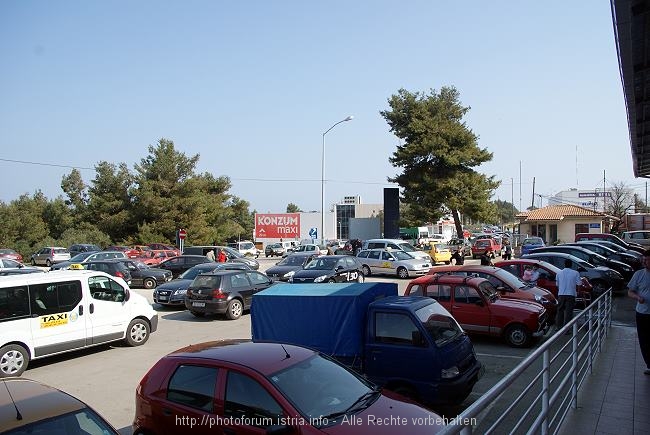 DSC00342-1.jpg