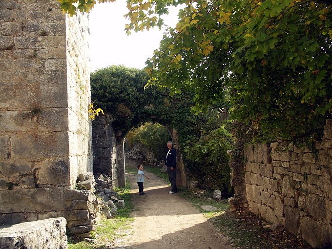 PICT7315-1.jpg