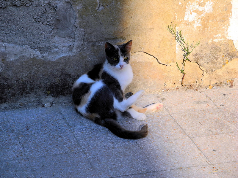 DSCN1791.jpg