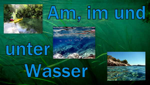Wasser.jpg