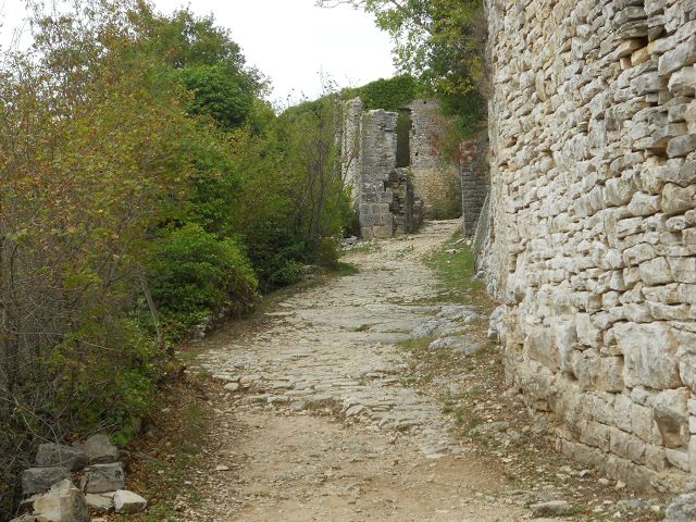 k-DSCN3418.jpg