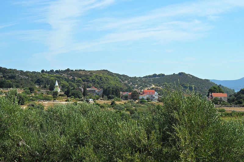 rtsel0601-2.jpg