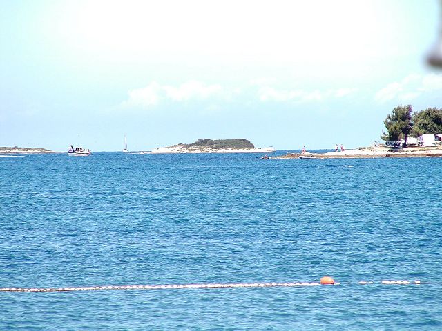 k-P1010013_2.jpg