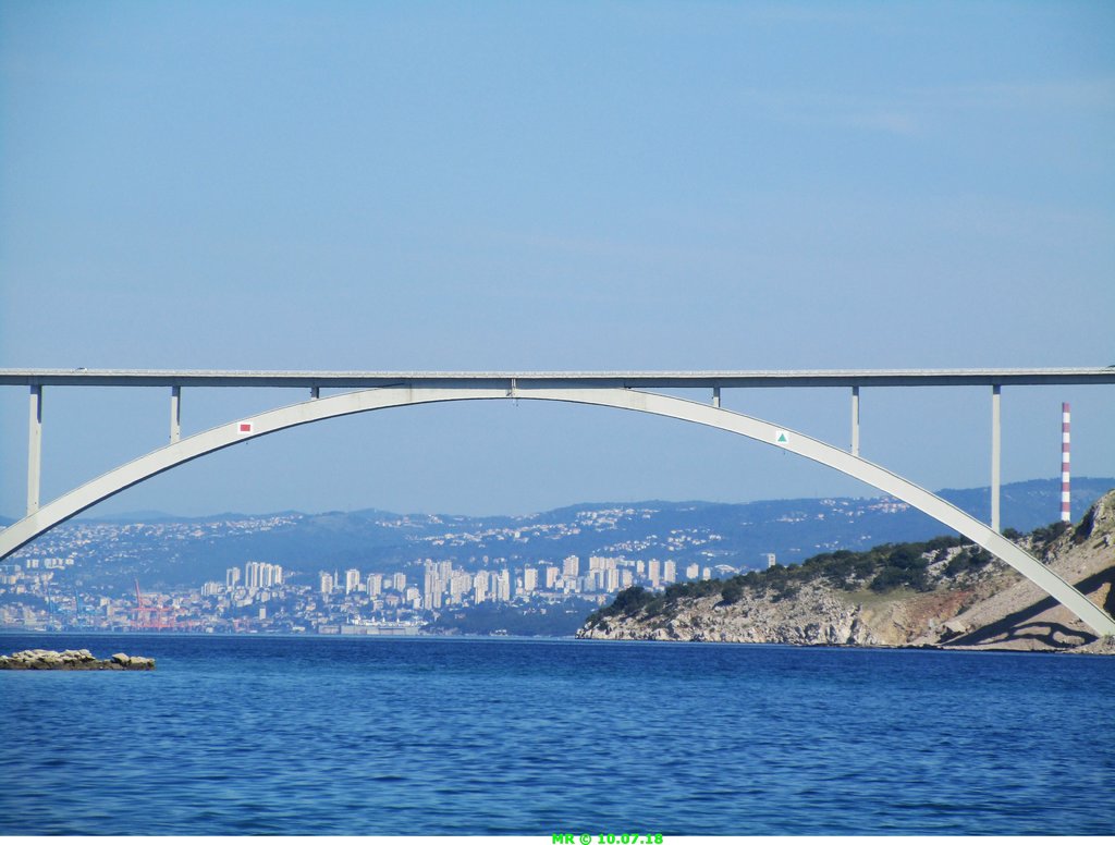 33201069ns.jpg