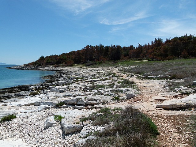 p1170964.jpg