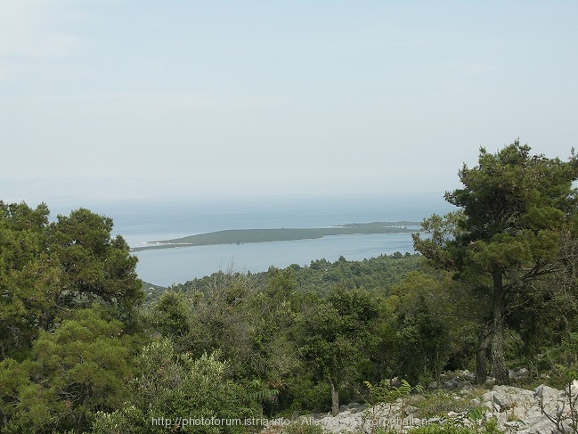 PICT7543-1.jpg