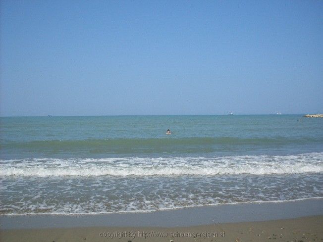 SDC11187.jpg