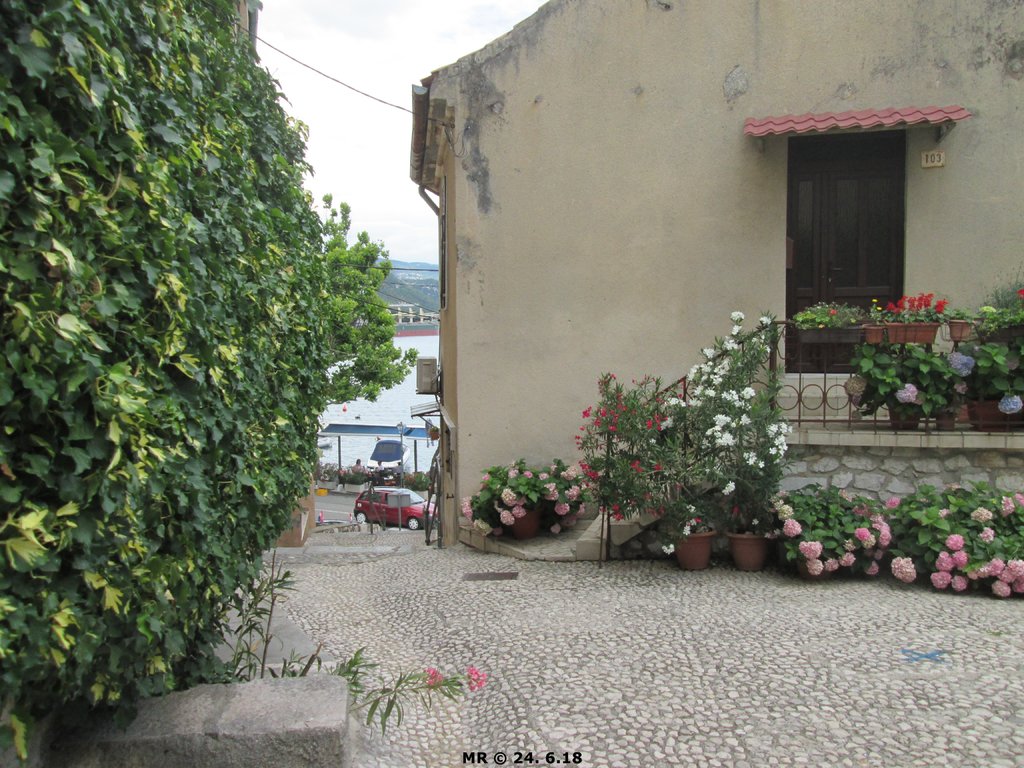 33063943lj.jpg