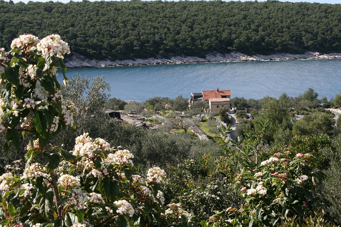 18_mindel_3.tag_tankarica_035_680.jpg