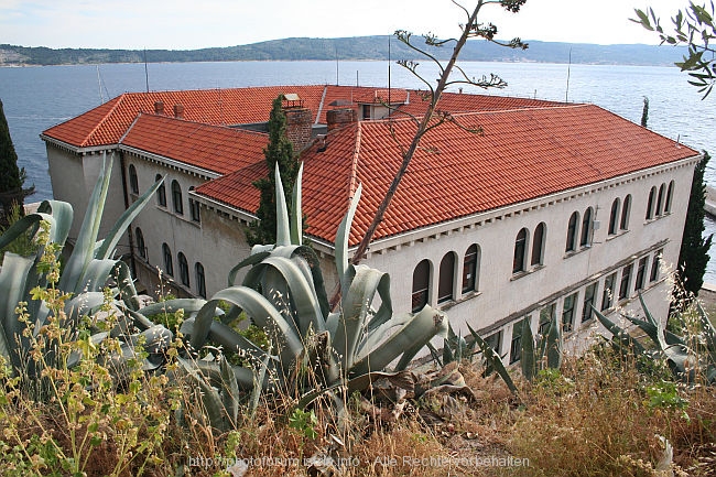 SPLIT_MARJAN_IMG_5139.JPG