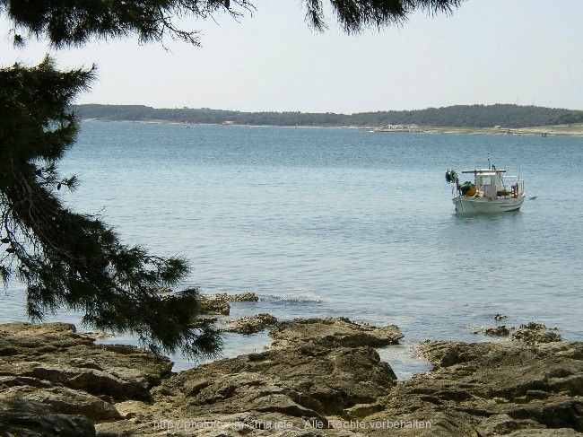 R2006_016.jpg