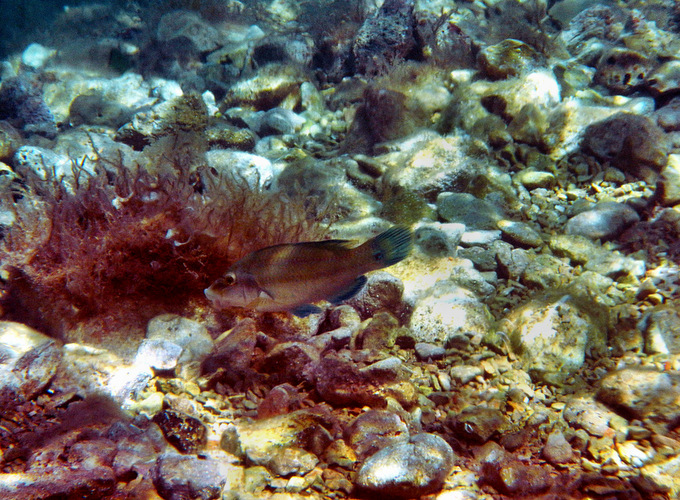 DSCN1594.JPG