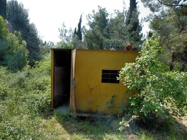 P1050804.jpg